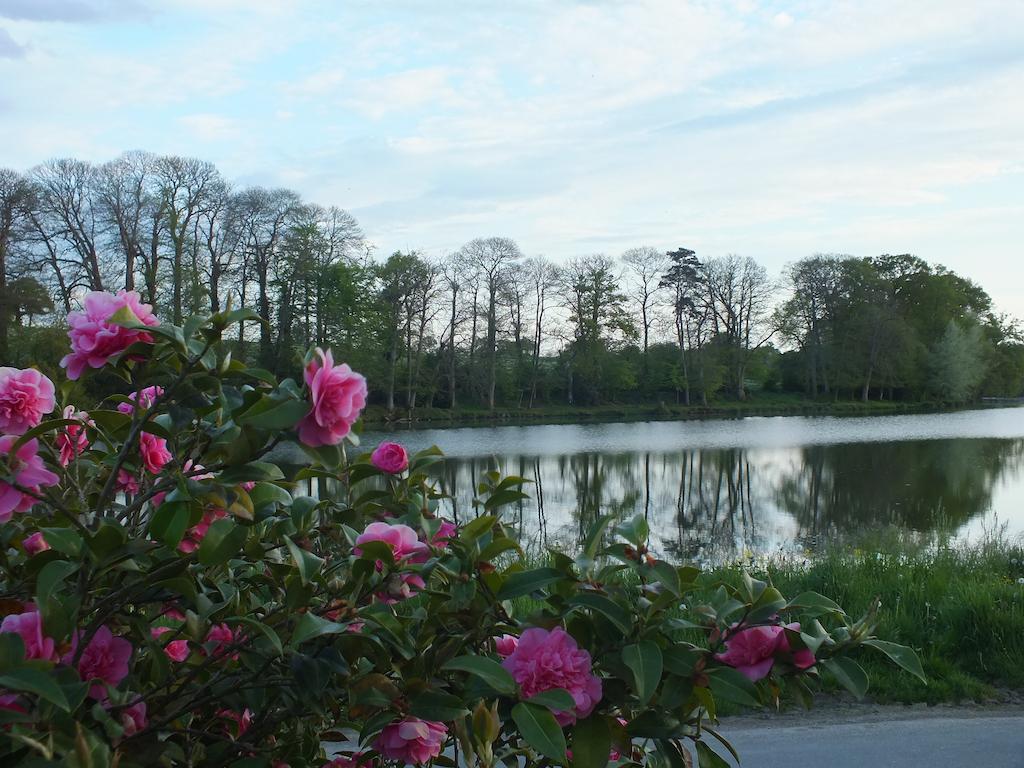 Chambre D'Hotes - La Rigaudiere Le Theil-de-Bretagne 外观 照片